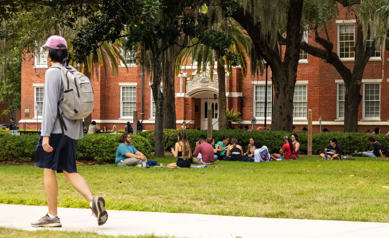 University of Florida A Comprehensive Overview